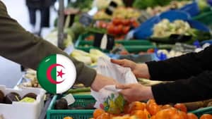 Pourquoi les prix des légumes grimpent en Algérie ? Pourquoi les prix des légumes grimpent en Algérie ?