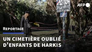 Les enfants de harkis de nouveau sur le dos de la France : justice à tout prix Les enfants de harkis de nouveau sur le dos de la France