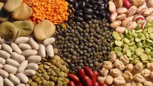 Nouvelles mesures de l'OAIC pour Ramadan 2024 : Baisse des prix des légumes secs