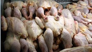 A El Bayadh, 18,36 quintaux de poulets avariés saisis