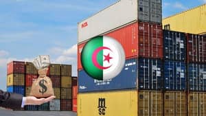 L’Algérie dément formellement la rumeur de suspension commerciale avec la France