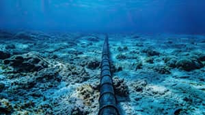 Câble électrique Algérie-Italie : une révolution énergétique en marche