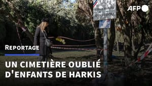 Les enfants de harkis de nouveau sur le dos de la France