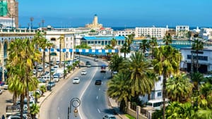 Voyage en Algérie d'Ariel Sophia Bardi : Ce qu'on en sait...