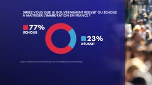 Sondage : 77% des Français sceptiques quant à la gestion de l'immigration par le gouvernement
