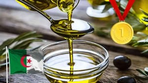 L’huile d’olive algérienne Ardhi brille à Abu Dhabi avec deux distinctions prestigieuses