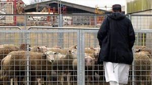 Aid al-Adha 2024 en France : voici les interdits...