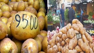 Flambée du prix des pommes en Algérie