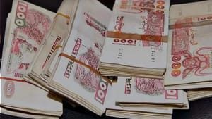 Marché noir : l’euro connait des jours difficiles...