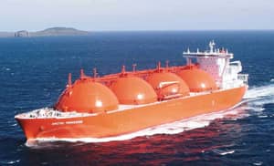 Importation de blé tendre : L'Algérie, 5e au plan mondial en 2024 Importation de blé