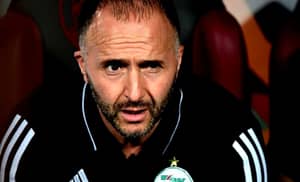 Djamel Belmadi sollicité par Al Duhail SC pour un retour aux sources Djamel Belmadi sollicité par Al Duhail SC pour un retour aux sources