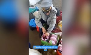 Saisie Choc à Skikda : Cigarettes Dissimulées dans des Bouteilles d'Huile d'Olive lors d'un Voyage en Algérie