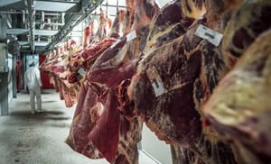 France : le commercialisation de la viande Halal menacée