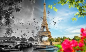 France : un algérien de 24 ans, impliqué dans un viol collectif