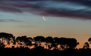 Vénus et la Lune s’unissent dans le ciel ce 5 novembre 2024