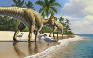 Maroc : Étonnante découverte de fossiles de dinosaures