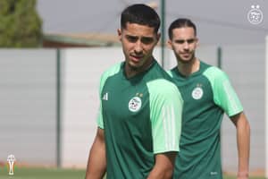 Fares Chaibi