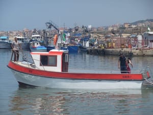 Algérie : Construction de navires de pêche
