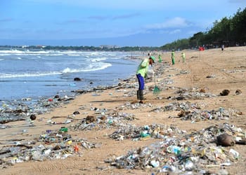 Phénomènes insolites sur les plages en Algérie : découvrez pourquoi ils persistent année après année