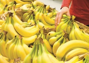 Algérie : le gouvernement agit face à la flambée des prix de trois produits essentiels