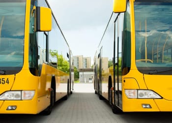 Tebboune agit vite : importation record de bus et pneus