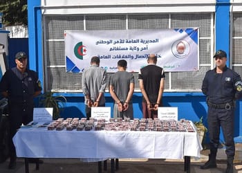 Saisie choc de 138 000 capsules : un réseau démantelé