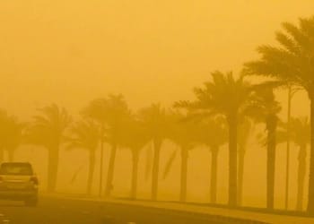 Orages en vue ce week-end en Algérie : le point météo