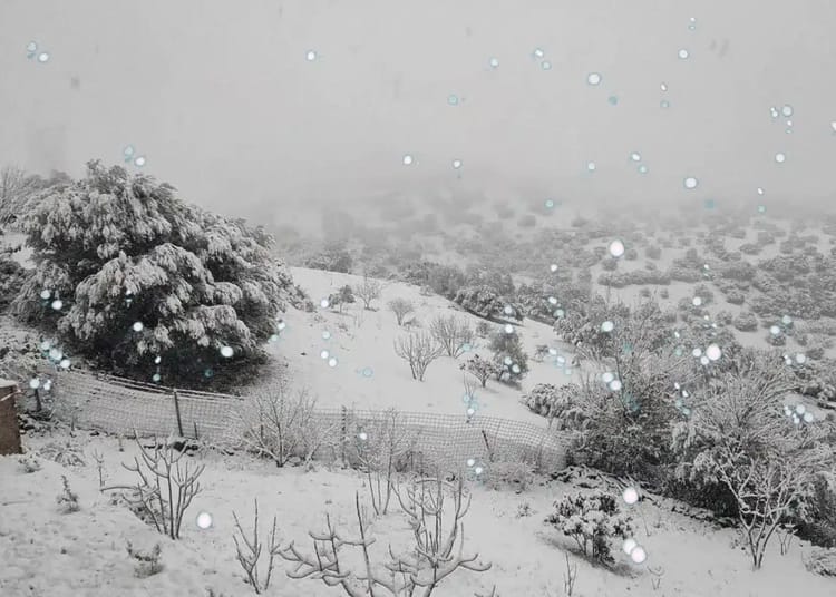 Météo Algérie : Intempéries et chutes de neige, à quoi s'attendre ce 07 janvier 2025