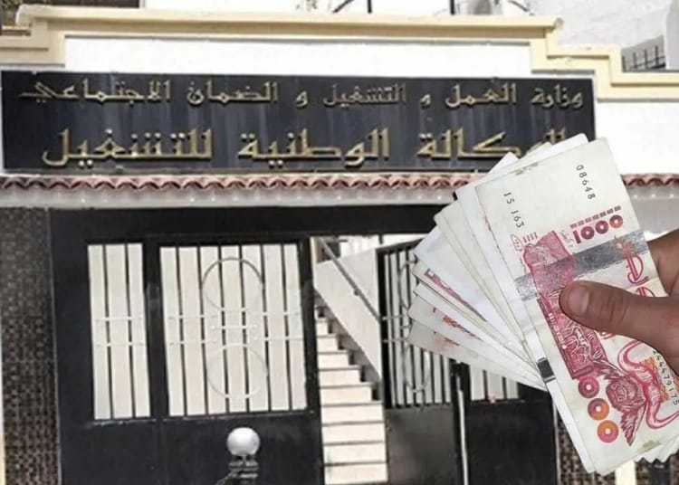 Allocation chômage en Algérie : une décision choc qui va tout changer !