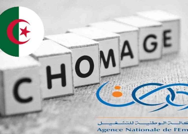 Allocation chômage en Algérie : Note urgente à l'endroit des bénéficiaires