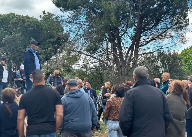 Indemnisations des harkis : la France ouvre la voie à 6 000 nouveaux bénéficiaires