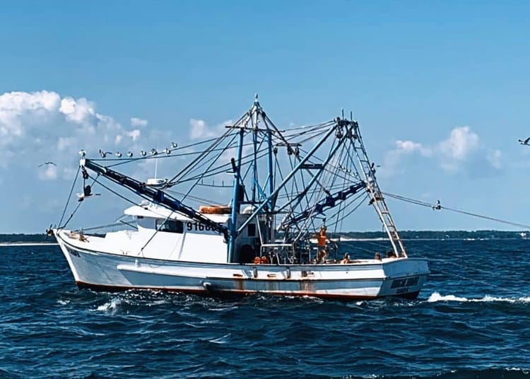 Algérie : Construction de navires de pêche
