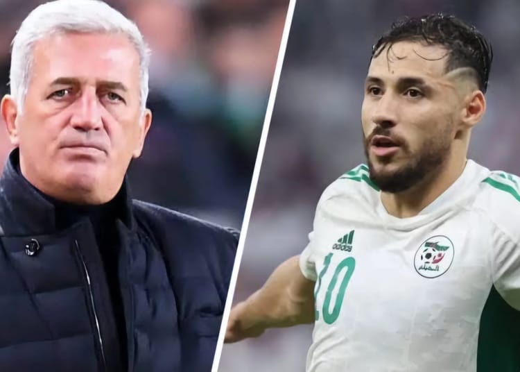 Youcef Belaili retenu en sélection