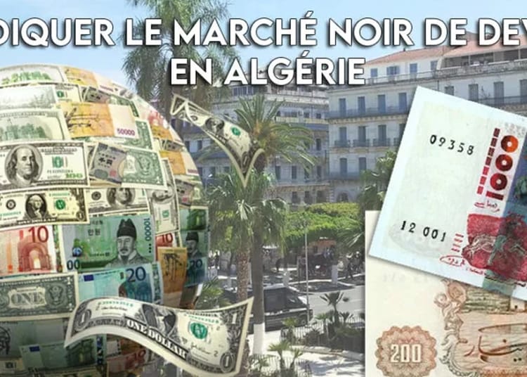 Algérie : 5 solutions clés pour éliminer le marché noir des devises
