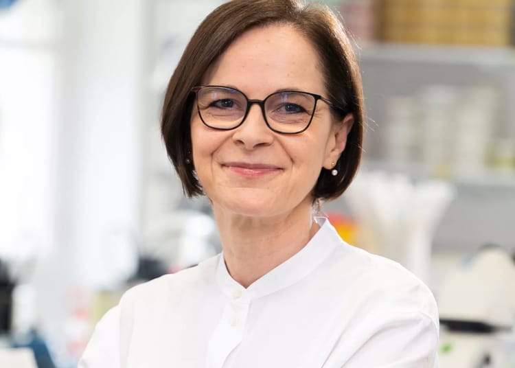 Yasmine Belkaid élue à l’Académie des sciences pour ses avancées en immunologie