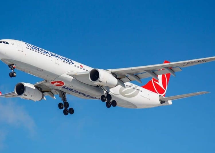 Offre spéciale été : Turkish Airlines fait décoller les bacheliers algériens à prix réduit