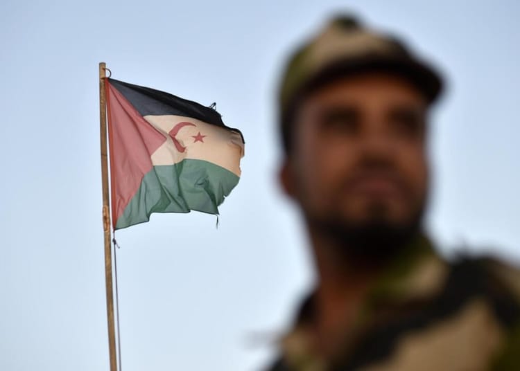 Sahara occidental : la riposte du Front Polisario au discours de Mohammed VI secoue la scène politique