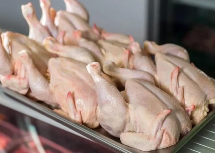 Pourquoi le prix du poulet chute en Algérie inquiète-t-il ?