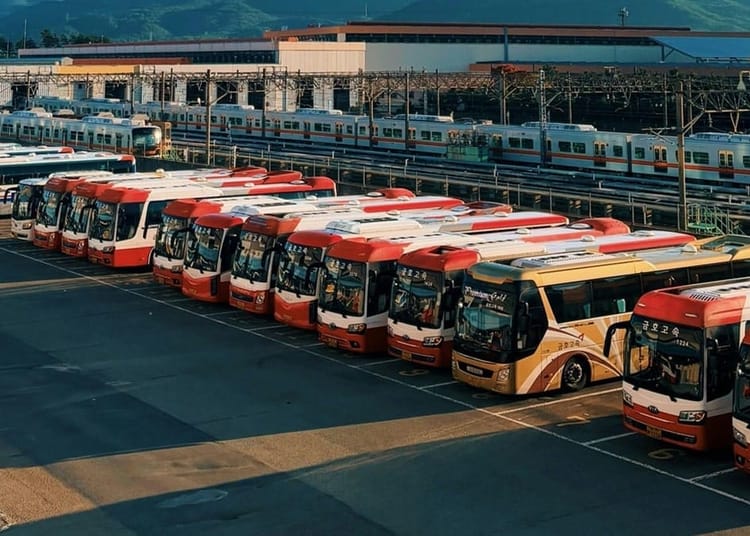 Pourquoi l’Algérie retire ses bus vieux de 20 ans ?