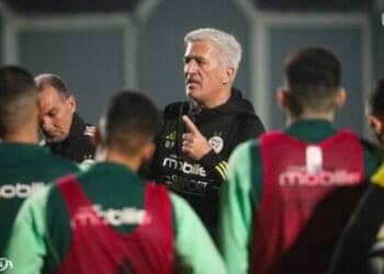 Belmadi ou Petkovic : les dernières heures des Verts se décident Elim Mondial 2026 : un protégé de Belmadi viré par Petković