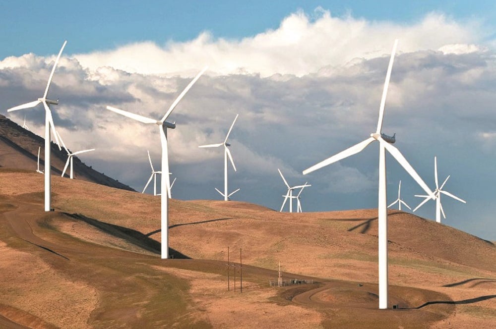 Algérie : voici pourquoi l'éolien devient stratégique
