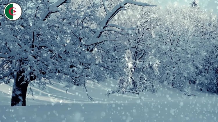 Algérie: L'impact environnemental des précipitations