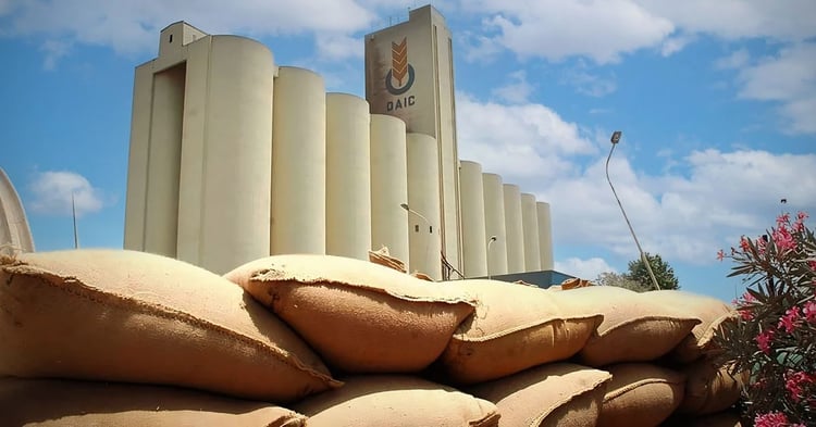 Algérie : l’OAIC lance un appel d’offres pour importer 50.000 tonnes de blé