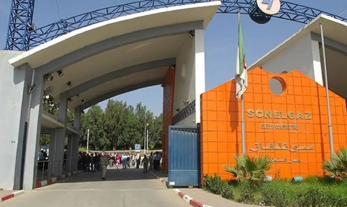 Les champions algériens de l’export 2025 révélés