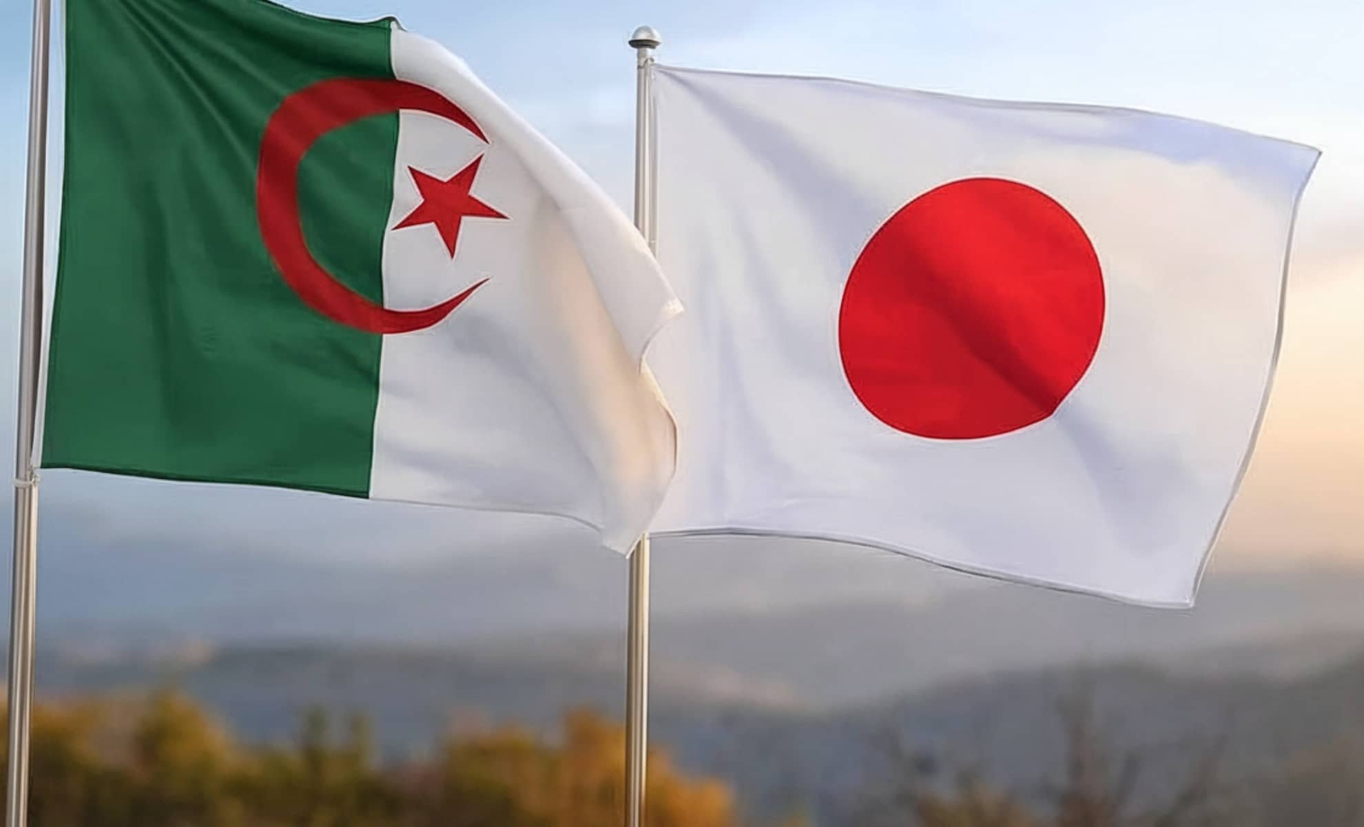 Pourquoi le Japon triple ses achats de naphta Algérien ?