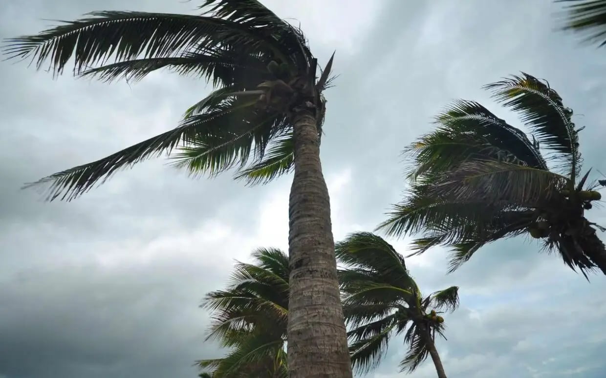 Météo en Algérie : orages et fortes chaleurs ce lundi