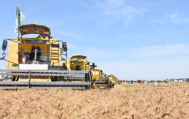 Tebboune dévoile une mesure clé pour moderniser l’agriculture