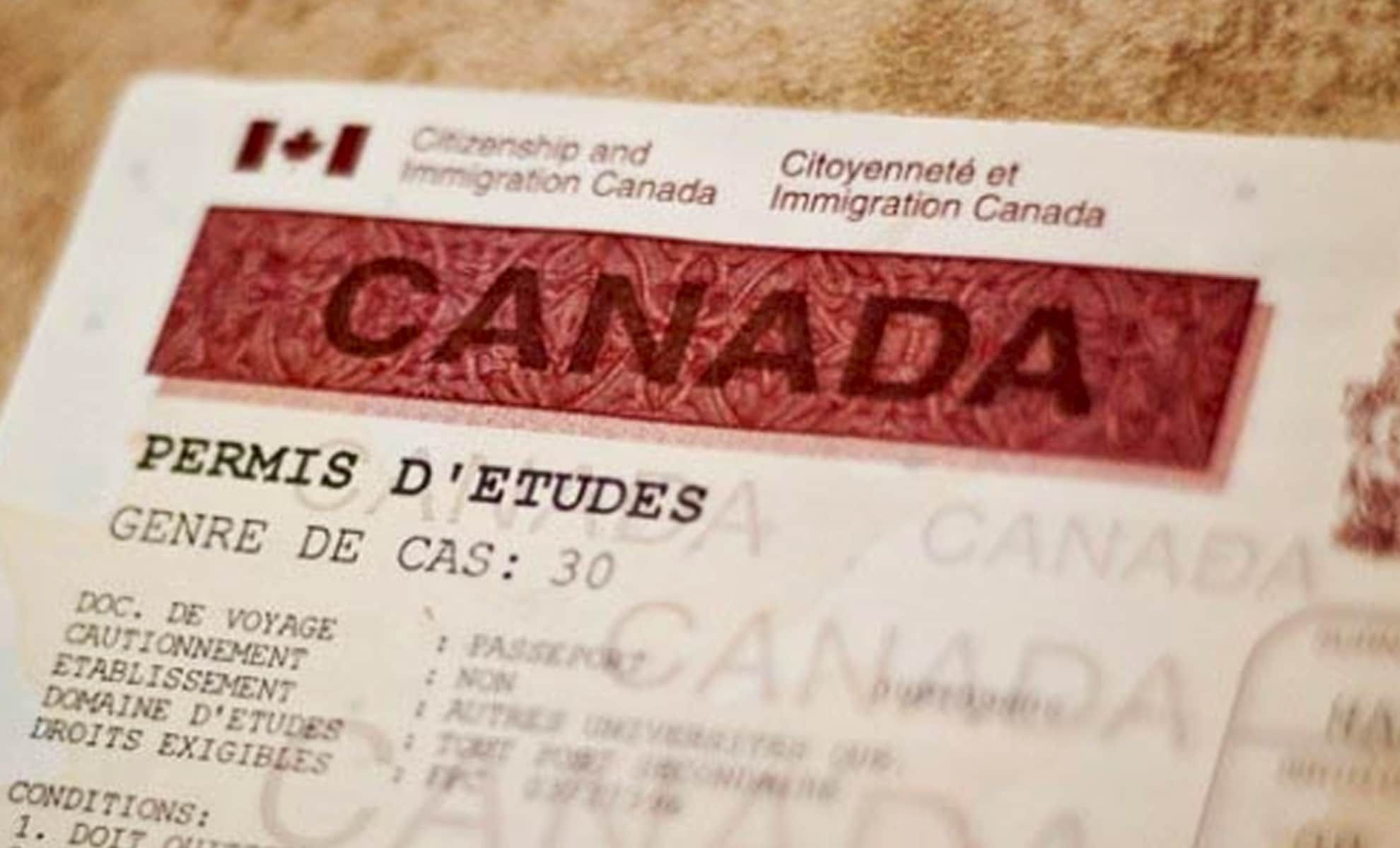 Étudiants étrangers au Québec : ce qui va bientôt changer pour les Algériens