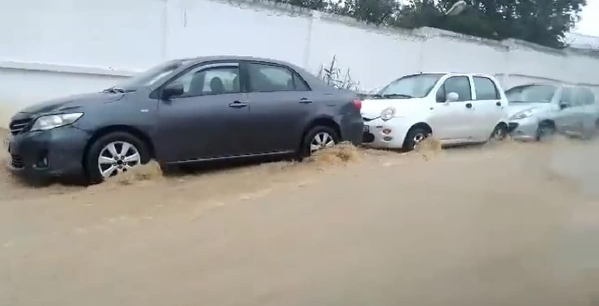 Tempête à Alger : inondations massives et chaos routier