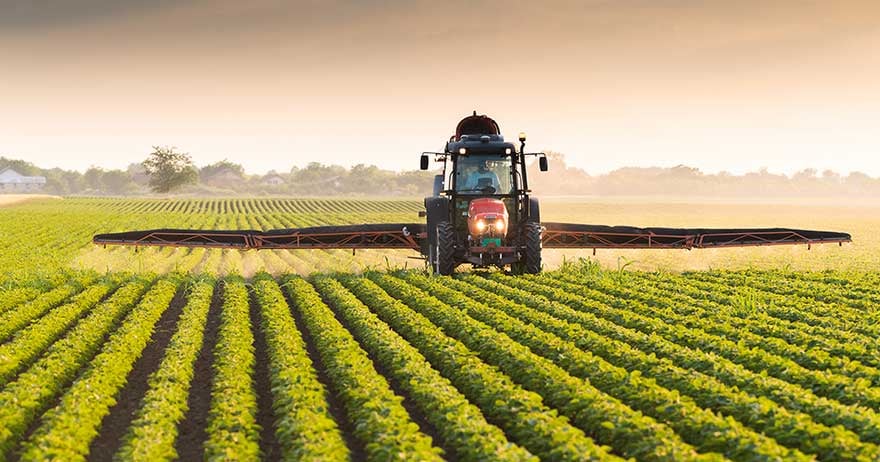 Découvrez pourquoi le système alimentaire algérien est le plus robuste